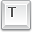 key_t icon