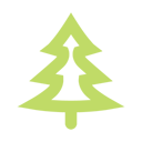 tree-conifer icon