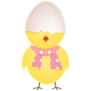 chicken-egg-shell-top icon