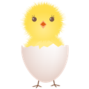 chicken-egg-shell icon