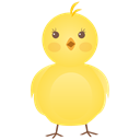 new-born-chicken icon