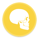 Anatomy3 icon