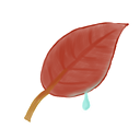 Ak_Leaf icon