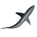 Shark-icon