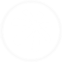 Shape-Leaf icon