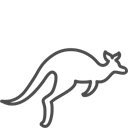 kangoroo icon