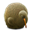 KiwiBird icon
