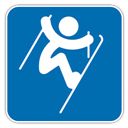 Freestyle-Skiing-Aerials-icon