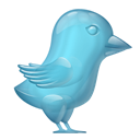 Glass-Twitter-Bird icon