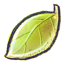 G12_Leaf icon