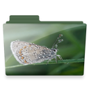butterfly-folder icon