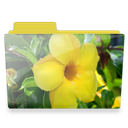 flower-folder icon