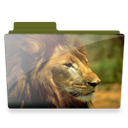 lion-folder icon