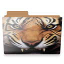 tiger-folder icon