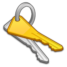 Key icon 256x256px (ico, png, icns) - free download | Icons101.com