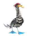 Seagull-icon