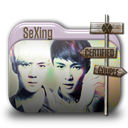 SeXing icon