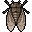 Cicada-icon