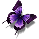 Other_Butterfly icon
