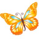butterfly_orange icon