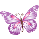 butterfly_purple icon