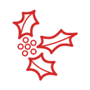 Christmas-Mistletoe-Icon