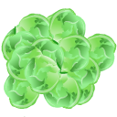 Brussels-Sprout-icon
