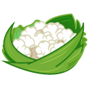 Cauliflower-icon