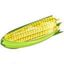 Corn-icon