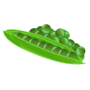 Green-Bean-icon