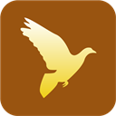 Christianity-Peace-Dove-Icon