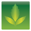11leaves icon