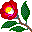 CamelliaJaponica icon