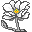 MagnoliaDenudata icon