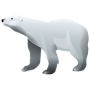 polar_bear icon
