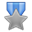 _0040_Medal-Silver icon