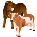 cattle icon