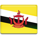 Brunei-Flag icon