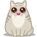 cat_eyes icon