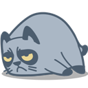 cat_grumpy icon