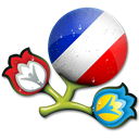 Euro-2012-France icon