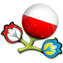 Euro-2012-Poland icon