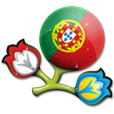 Euro-2012-Portugal icon