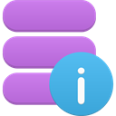 data-info icon