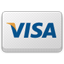 PEPSized_Visa icon