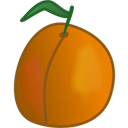 apricot icon
