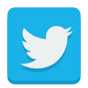 social-twitter icon