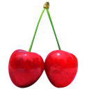 cherry icon