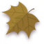Autom-Leaf icon