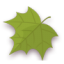 Palmately-Leaf icon